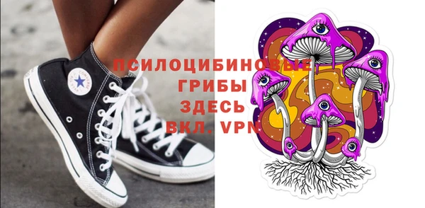 ПСИЛОЦИБИНОВЫЕ ГРИБЫ Баксан