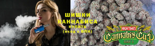 ПСИЛОЦИБИНОВЫЕ ГРИБЫ Баксан